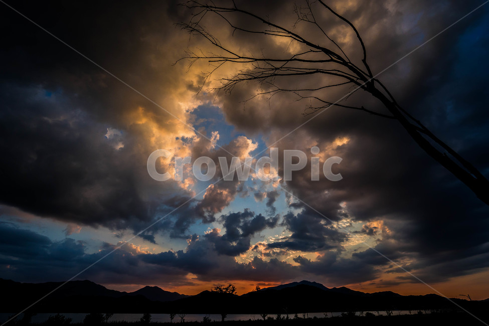 석양,구름,나무,강변,그림자,자연,풍경,nature,landscape,weather,날씨,outdoors,옥외,cloud,sky,하늘,cumulus,적운