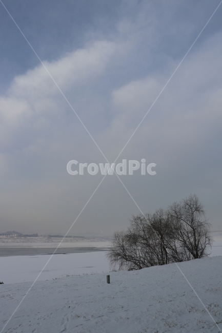 겨울풍경,하늘,나무,눈온다음날아침,구름,겨울,계절,winter,season,자연,풍경,nature,landscape,outdoors,옥외,weather,날씨