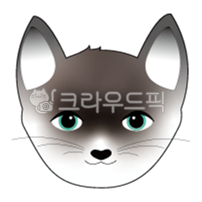 동물,고양이,샴고양이,애완동물,귀여운