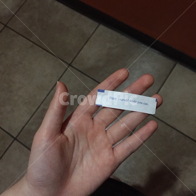 표춘쿠키,손,오늘,운명,행운