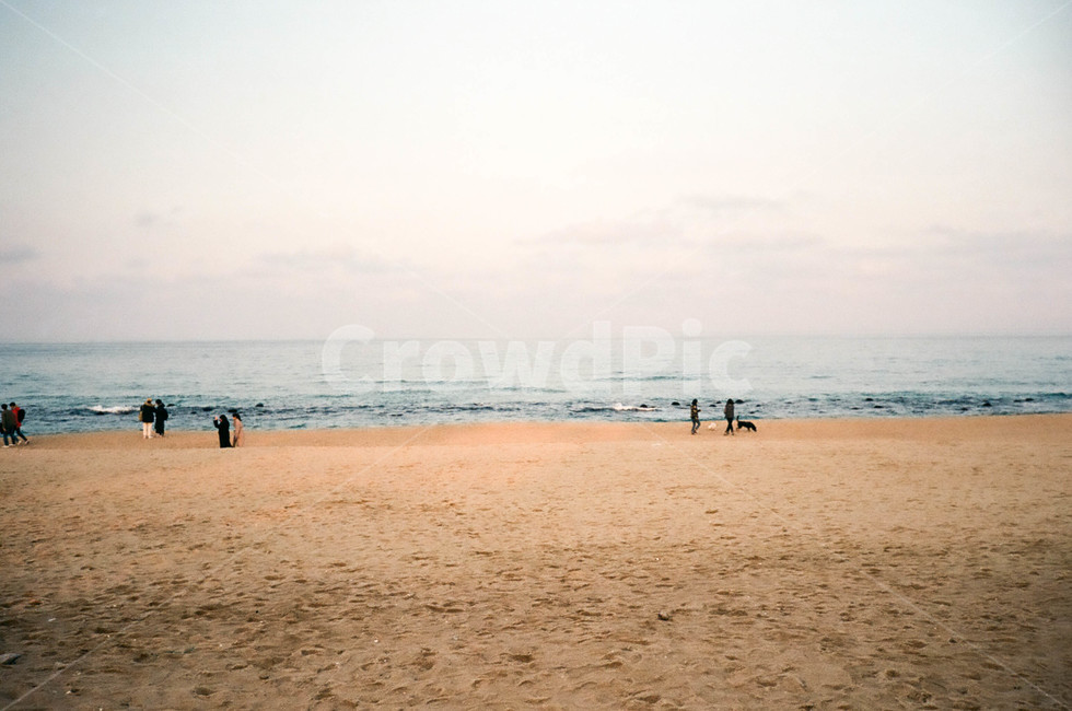 바다,필름감성,시원함,모래사장,해변,동해,동해바다,필름카메라,필름,film,filmcamera,beach,해변,바다,beach,sea,사람들,대중,군중,other people,crowd