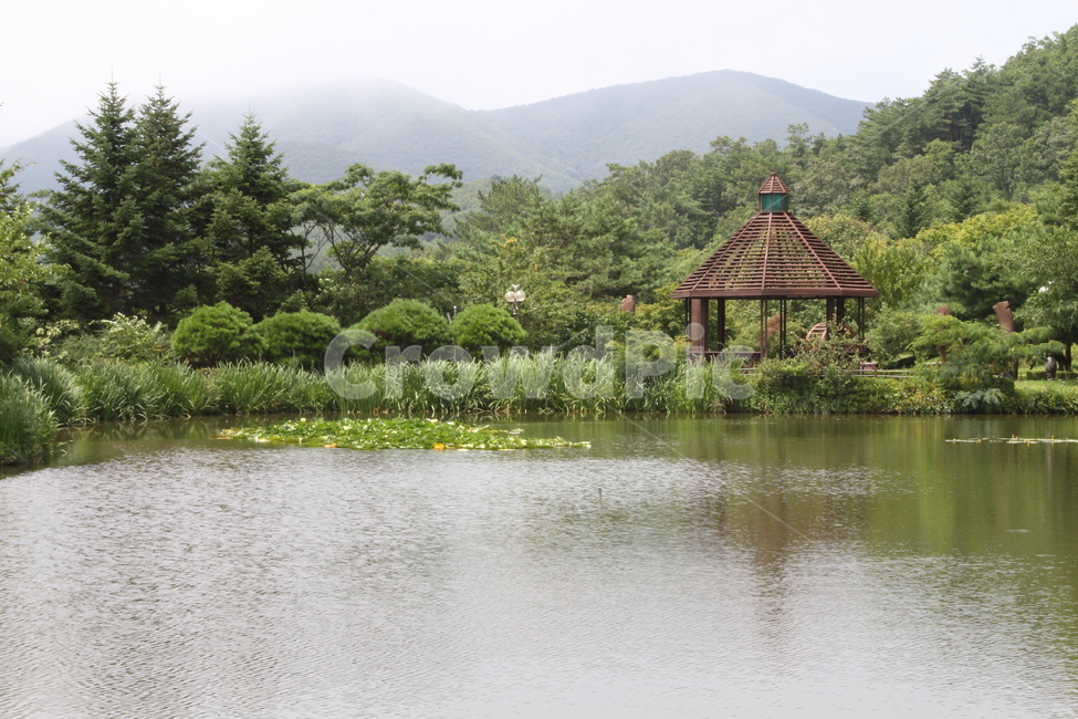 수목원,경북수목원,연못,저수지,정원,수련,garden,경상북도수목원,자연,풍경,nature,landscape,gazebo,전망대