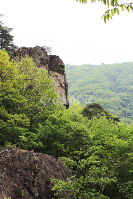 자연,낭떠러지,산,절벽,초록,나무,돌,nature,cliff,mountains,cliffs,green,trees,stones