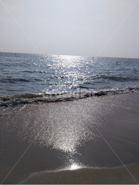 바다,파도,햇살,자연,물결