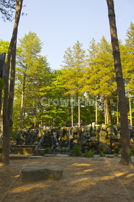 나미나라,남이섬,남이아일랜드,섬,숲,공원,한국,춘천,나무,잡초,흙,흙바닥,돌,폭포,연못,자연,물,식물,바위,스톤,생태공원,풀,인공폭포,낮,돌담,자연,풍경,nature,landscape,tree,plant,tree trunk,나무 줄기