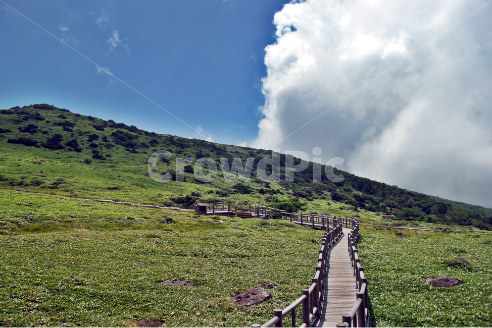 한라산,제주도,영산,어리목코스,만세동산,자연,구름,탐방로