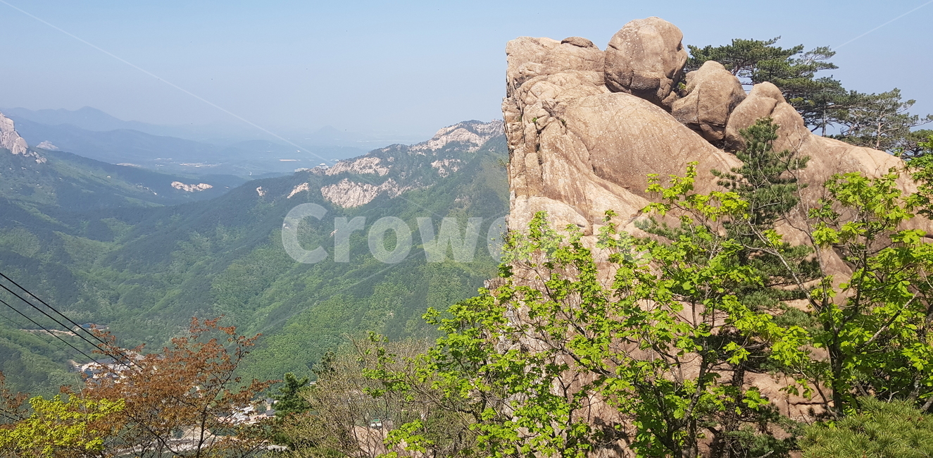 자연,낭떠러지,산,나무,바위산,배경화면,nature,cliff,mountain,tree