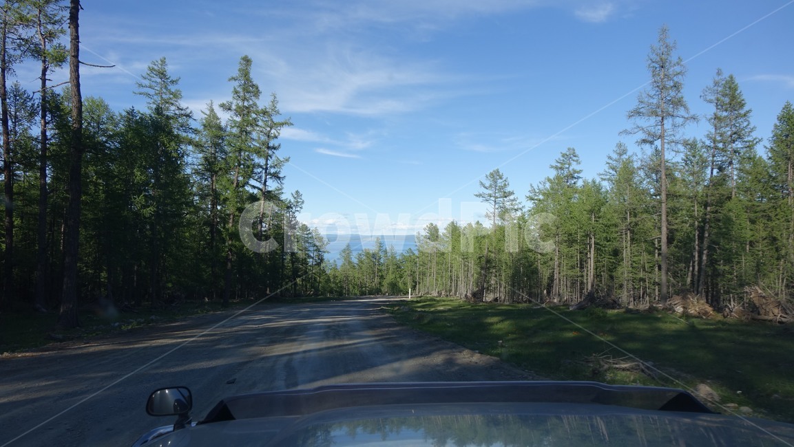 자연,nature,길,숲,forest,road,호수,몽골,몽고,MONGOLIA,홉스굴