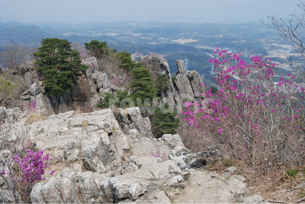 달음산,옥정사,철쭉,꽃,자연의위대함,등산로,능선,아름다움,신비스런산,돌,산행,힐링,자연,감성,등산,계절,여행,한국,한국명산,한국등산,풍경,눈,나무,하늘,바람,바람소리,환경,생태계,산,땅,자연,풍경,nature,landscape,한국자연풍경,한국자연경관,korea nature landscape,outdoors,옥외