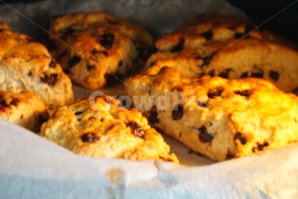 스콘,빵,scone,초코칩스콘,요리,음식,음식,식재료,요리,food,cook,meal,dishes,food reserves,디저트,간식,후식,dessert,snack