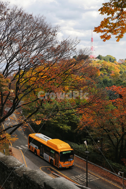 남산,버스,노란색,단풍,가을,가을,계절,fall,autumn,season,vehicle,차량,transportation,교통,bus
