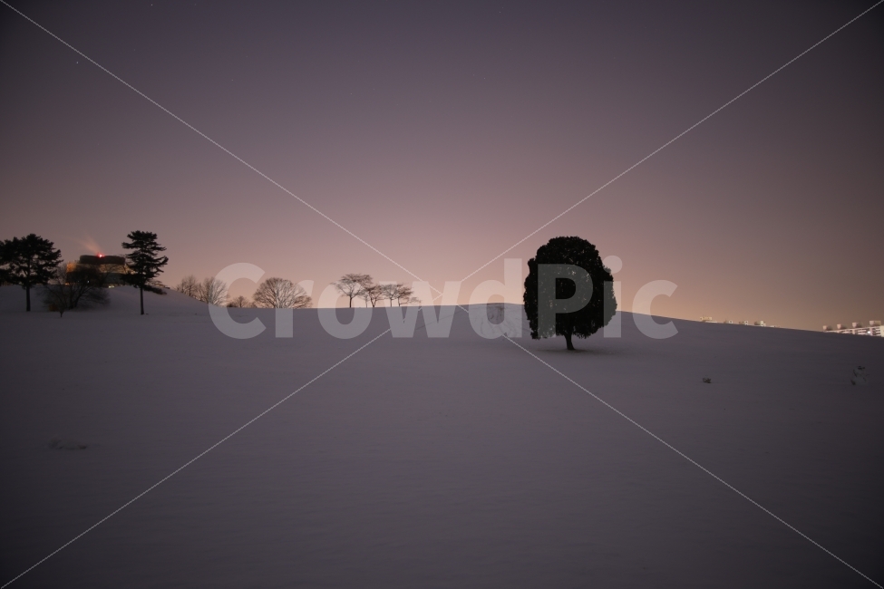 Olympic Park,night view,Alone tree,sight,dawn,long exposure