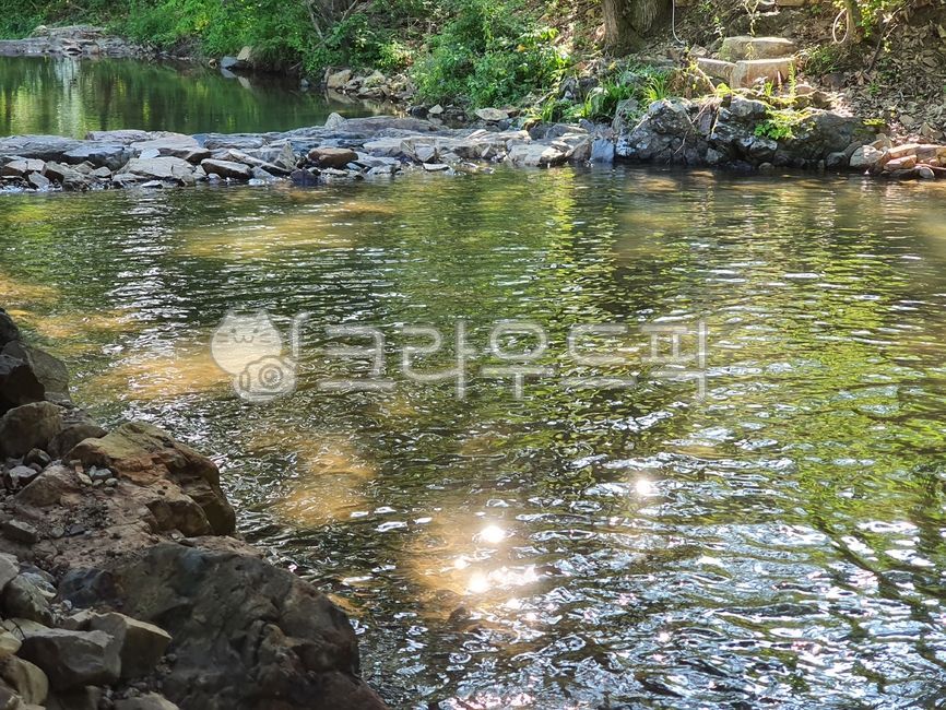 pond,forest,waterside,forest pond,nature,cool,reflected water,cool water,water,shining pond,summer,Yunseul,water play,stream,valley,sparkling water,transparent water