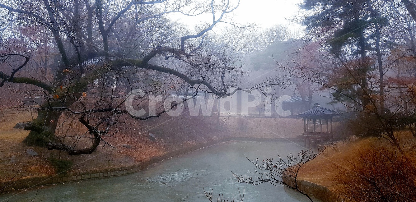 창덕궁,후원,겨울비,관람지,관람정,고궁,자연,풍경,nature,landscape,한국자연풍경,한국자연경관,korea nature landscape,outdoors,옥외,ice,빙