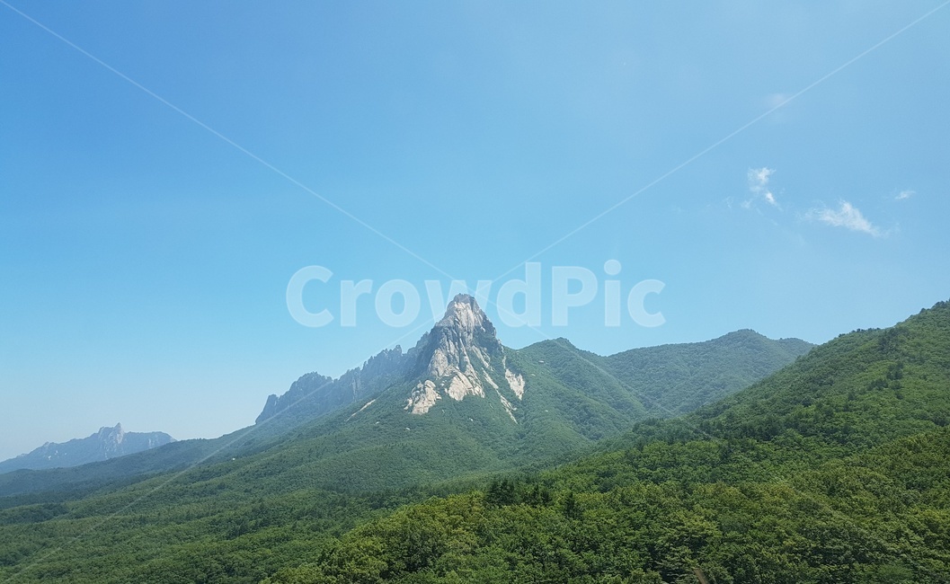 풍경,나무,산,한국,하늘