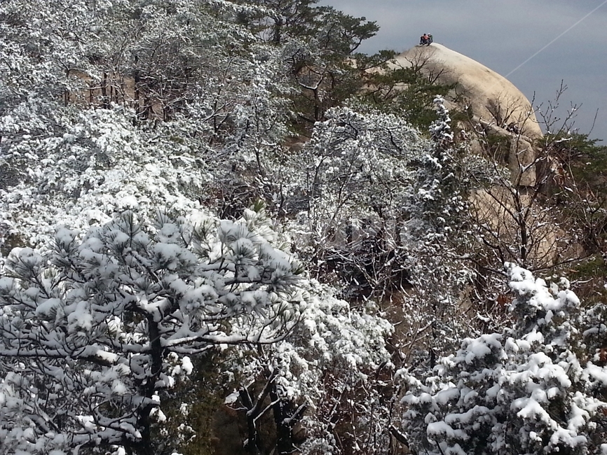 겨울풍경,눈,눈꽃,설경,겨울산,겨울,계절,winter,season,자연,풍경,nature,landscape