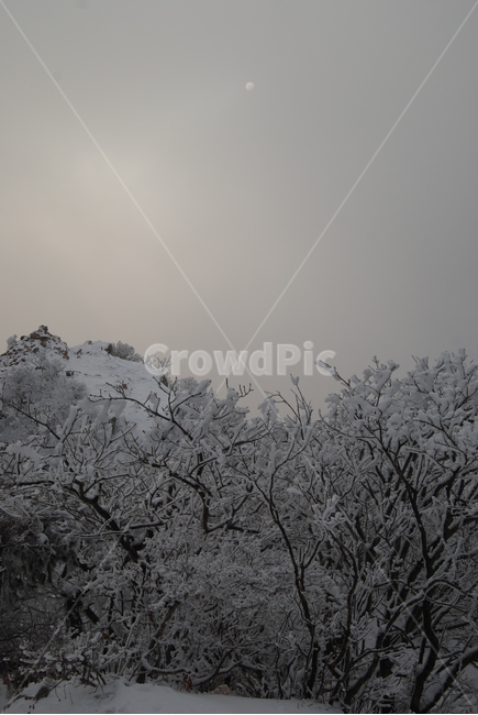 가지산,울산,설경,탐방로,해,겨울,계절,winter,season,자연,풍경,nature,landscape,outdoors,옥외,snow,눈