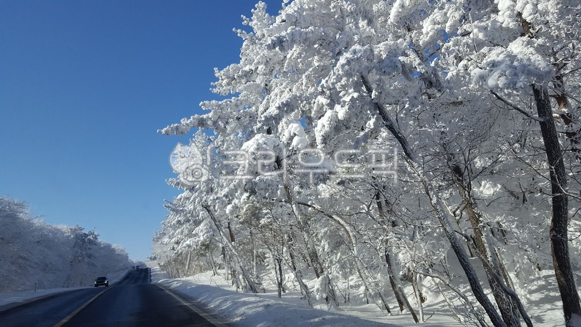 winter mountain,snow,hallasan road,winter road