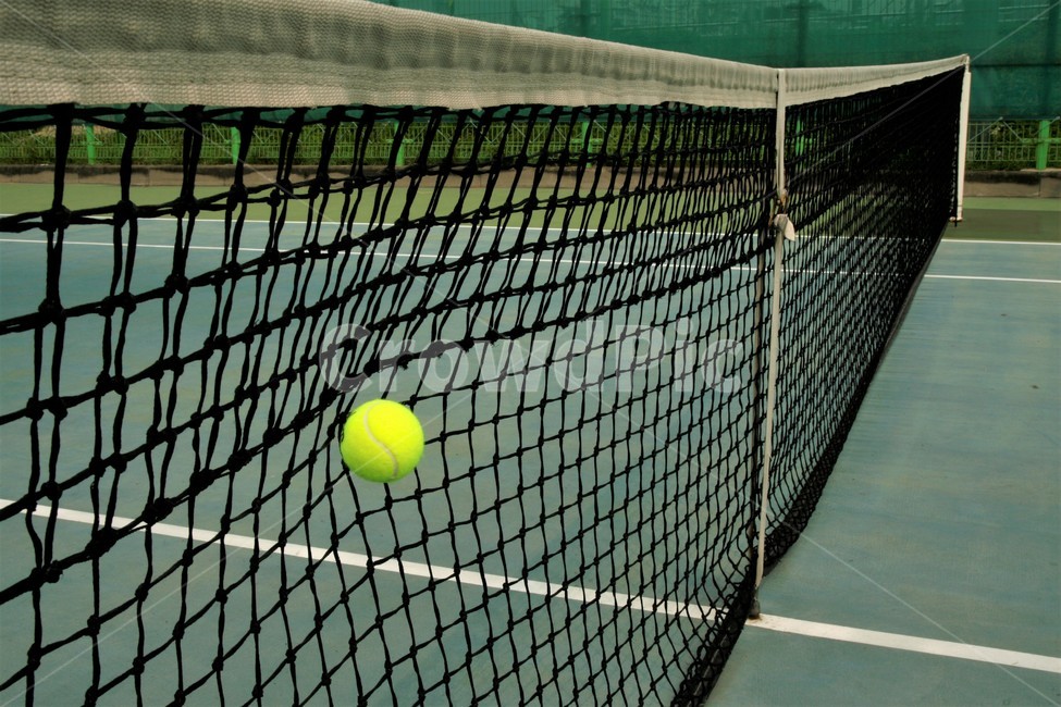 테니스,네트,코트,공,에러,스포츠,레저,운동,sports,leisure,exercise