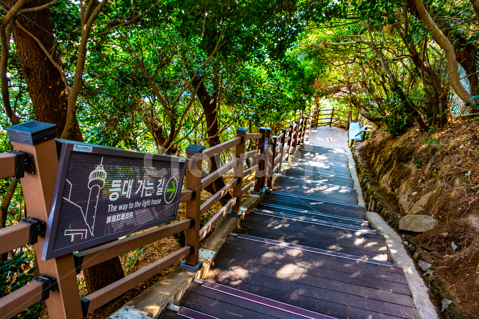 등대가는길,숲길,길,계단,숲,자연,풍경,nature,landscape,handrail,난간,banister,railing,boardwalk,산책로,bridge,다리,building,건물