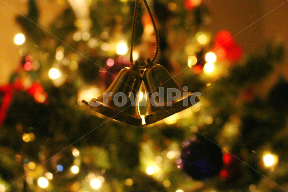 크리스마스,크리스마스트리,크리스마스장식,성탄절,감성사진,christmas,메리크리스마스,체크,빨강,빨간색,초록,초록색,tree,red,green,빛,bell,종,겨울,계절,winter,season,기념일,축하,anniversary,congratulation,celebrate,celebration,메리크리스마스,성탄절,merry christmas