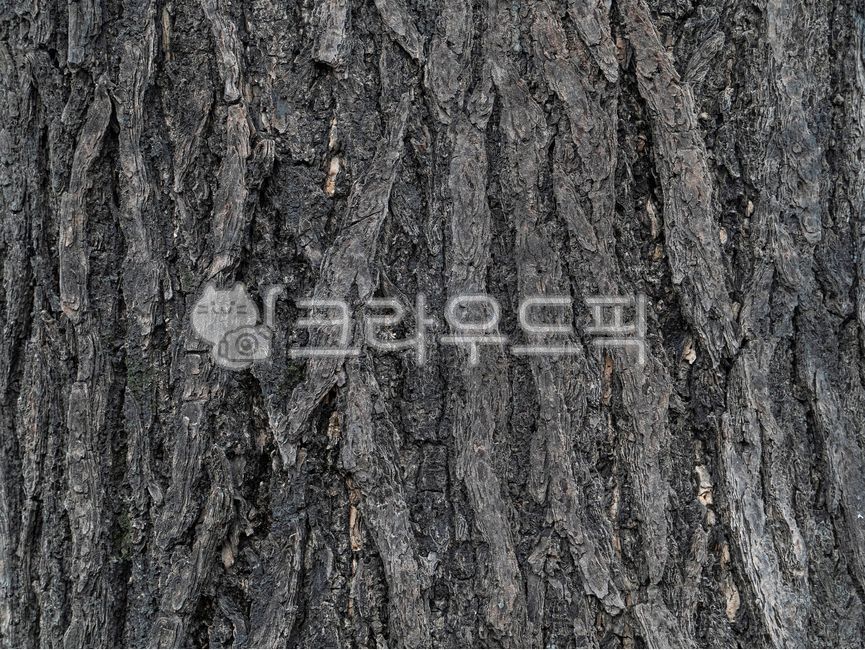 wood,wood texture,wood pattern,wood,woodtexture,wood texture,wood source,wood background,woodimage,wood image,backgroundtexture,backgroundsource