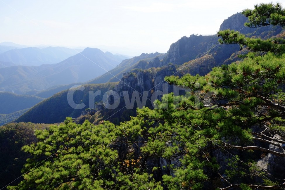 가을,산,자연,자연풍경,대둔산,바위,나무,숲,소나무,자연,풍경,nature,landscape,한국자연풍경,한국자연경관,korea nature landscape,outdoors,옥외,mountain,mountain range,산맥
