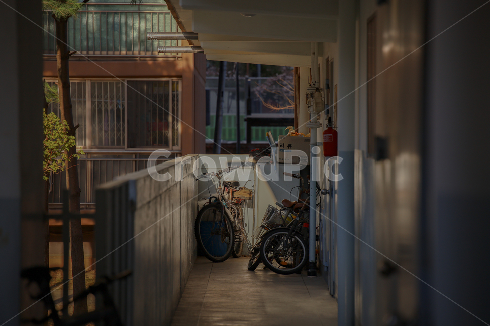 풍경,자전거,노을,해질녘,bicycle