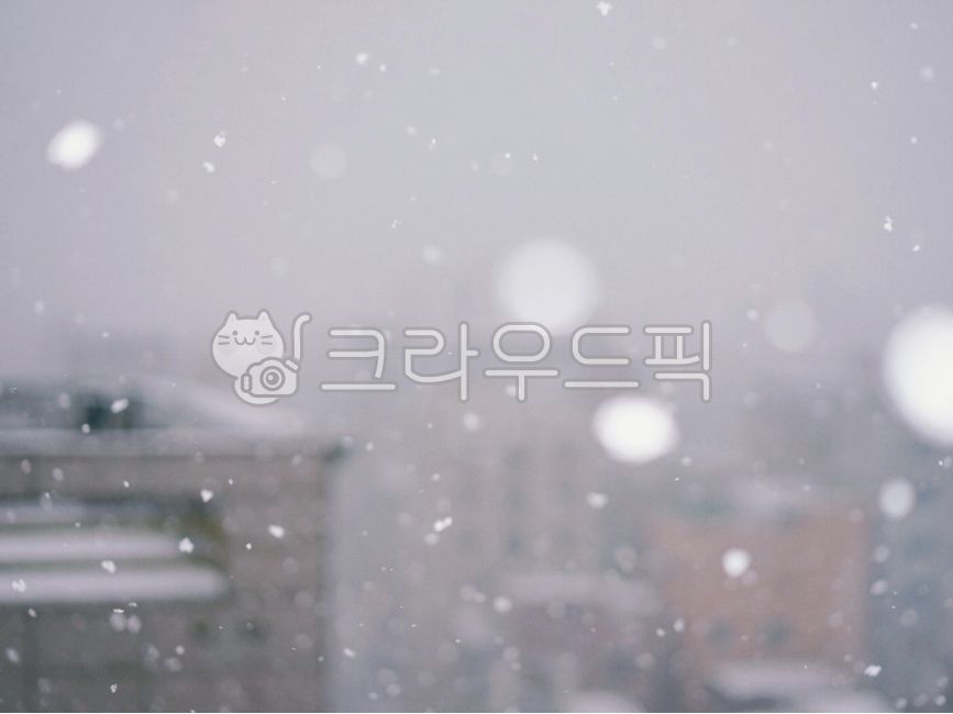 눈,겨울,눈송이,스노우,snow,winter,겨울,계절,winter,season
