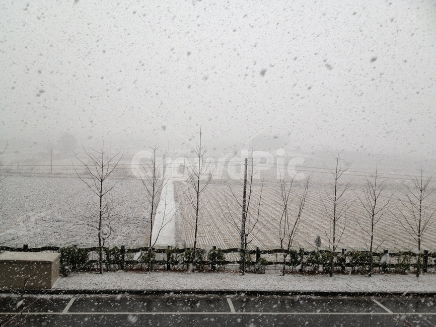 눈,겨울,눈발,눈송이,눈꽃송이,snow,snowing,winter,snowflake,snowflakes,겨울,계절,winter,season