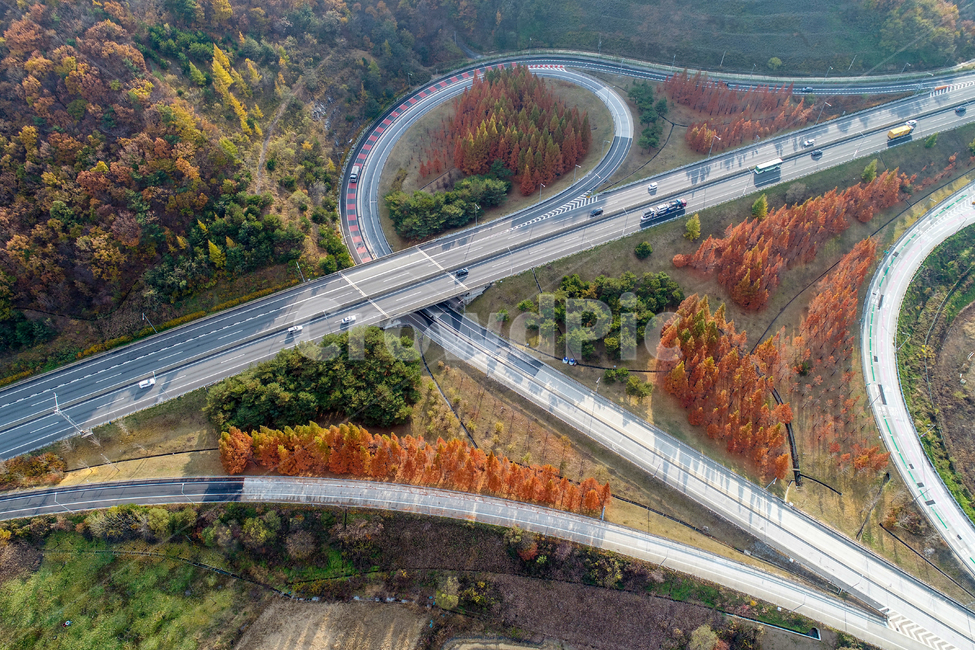 도로,고속도로,인터체인지,가을,단풍