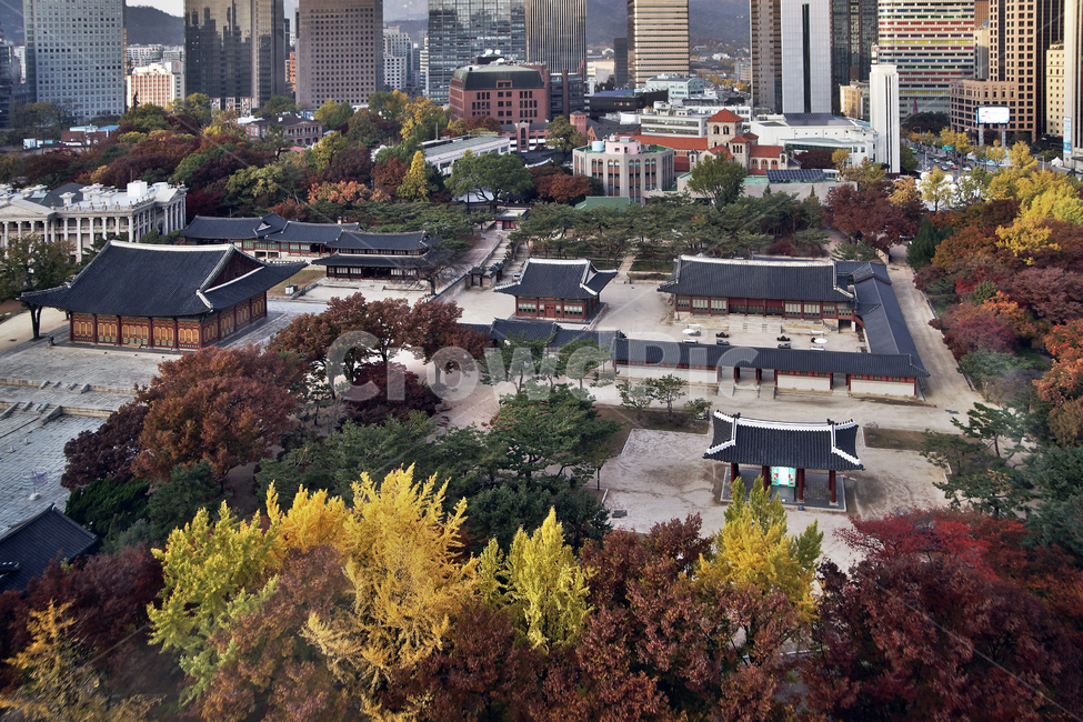 덕수궁,궁궐,가을,자연,도심,건물,빌딩,한국전통,한국문화,korean traditional,korean culture