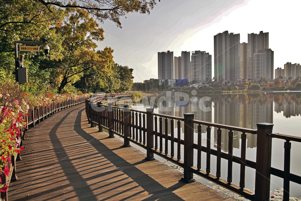광교호수공원,영통,공원,호수,수원시,탐방로,아파트,반영,도시,풍경,city,landscape