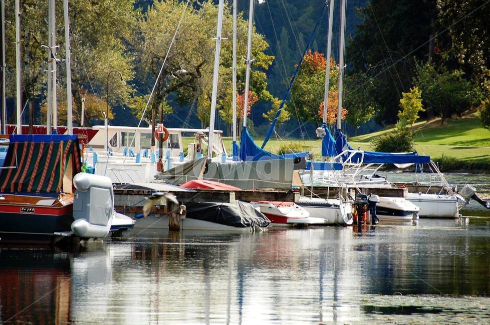 배,보트,정박장,호수,레저,boat,dock,lakeshore,sport
