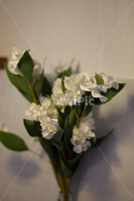 인테리어,꽃,조화,감성,흰색,초록,화분,거실,flower,화병,꽃다발,꽃집,꽃꽂이,실내,식물,자연,plants,nature,꽃,flower,실내용화초,화분,화초,house plant,인테리어,실내디자인,interior design