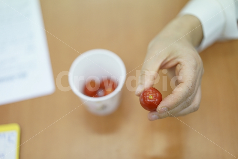 손,손가락,과일,방울토마토,레드,간식,비타민,토마토,종이컵,일상,휴식,충전,달달,푸드,건강,사람,인물,인간,human,person,신체일부,몸,body,음식,식재료,요리,food,cook,meal,dishes,food reserves,채소,야채,vegetables,연출,컨셉,콘셉,direction,concept