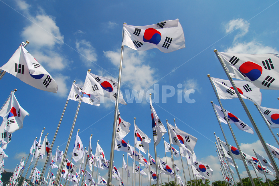 태극기,국기,대한민국,애국,휘날리는,펄럭이는,한국,애국심,깃발,태극,31운동,31절,삼일운동,삼일절,독립,독립운동,애국자,대한독립만세,게양,하늘,풍경,로우앵글,사물,물건,오브젝트,thing,object,matter