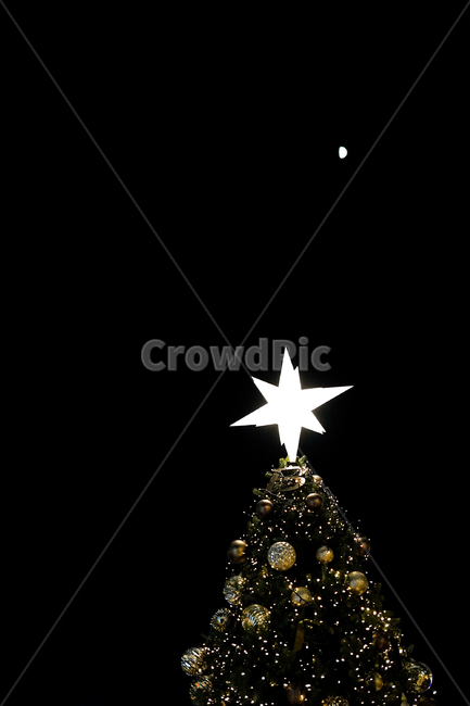 tree,나무,christmas,xams,크리스마스,크리스마스트리,메리크리스마스,성탄절,merry christmas