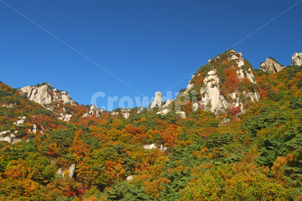 도봉산,산,단풍,가을,계절,풍경,자연,나무,숲,산림,삼림,봉,봉우리,산봉우리,등산,바위,바위산,절경,국립공원,하늘,배경,백그라운드,서울,한국,가을,계절,fall,autumn,season,자연,풍경,nature,landscape,한국자연풍경,한국자연경관,korea nature landscape,outdoors,옥외,cliff,낭떠러지