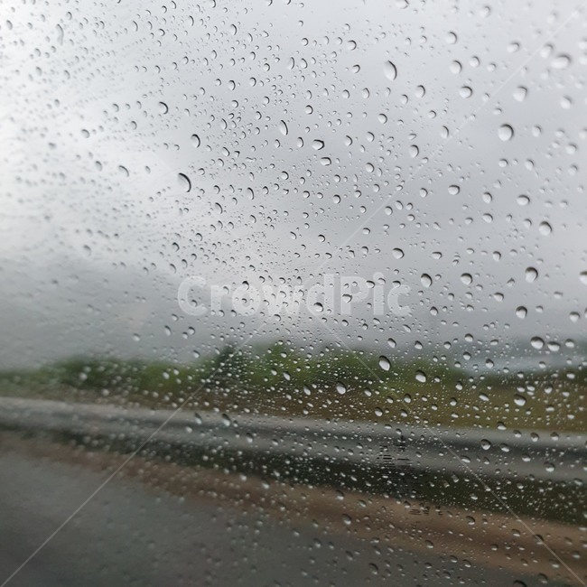 비오는날,빗방울,rainyday,전라남도,장성시,rain,landscape,풍경