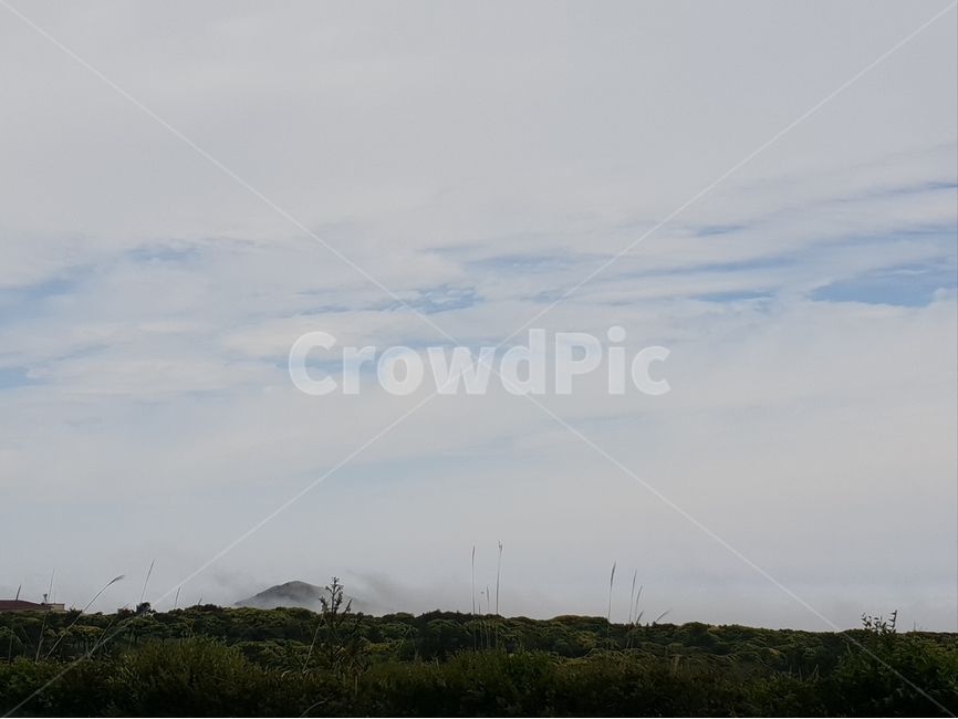 제주,구름,풍경,억새,jeju,cloud,scenery,oreum,오름,풀,grass,자연,풍경,nature,landscape,제주도,jeju,jeju island