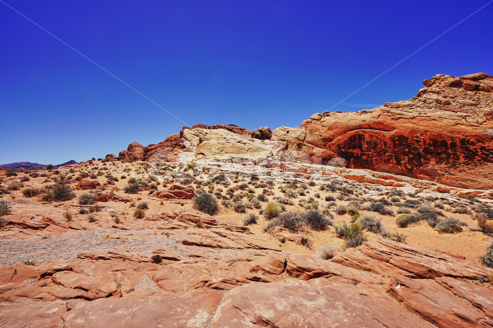 valleyoffire,불의계곡,건조한,dry,풍경,파란,하늘,red,rock,바위,자연,풍경,nature,landscape,해외,외국,세계,foreign,oversea,world,세계자연풍경,해외자연풍경,외국자연풍경,world nature landscape,outdoors,옥외,desert,사막,mesa,메사