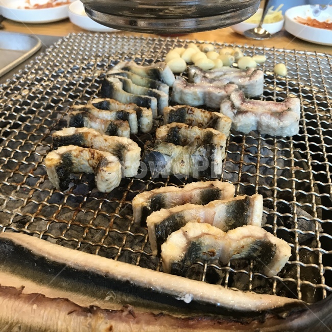 장어,장어구이,보양식,숯불구이,음식,보양,기력,기력보충,민물장어,외식,음식,식재료,요리,food,cook,meal,dishes,food reserves