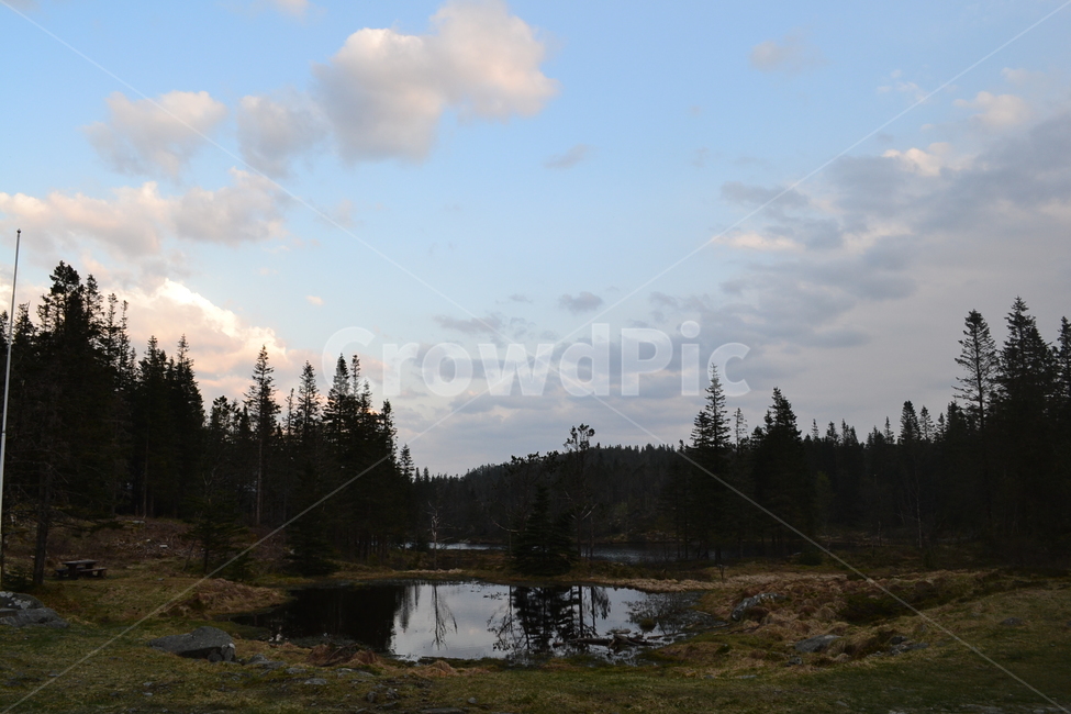 노르웨이,베르겐,norway,bergen,플뢰옌,floyen,자연,풍경,nature,landscape,해외,외국,세계,foreign,oversea,world,세계자연풍경,해외자연풍경,외국자연풍경,world nature landscape,outdoors,옥외,land,땅,tree,나무,plant,식물,fir,전나무,abies,아비,water,물
