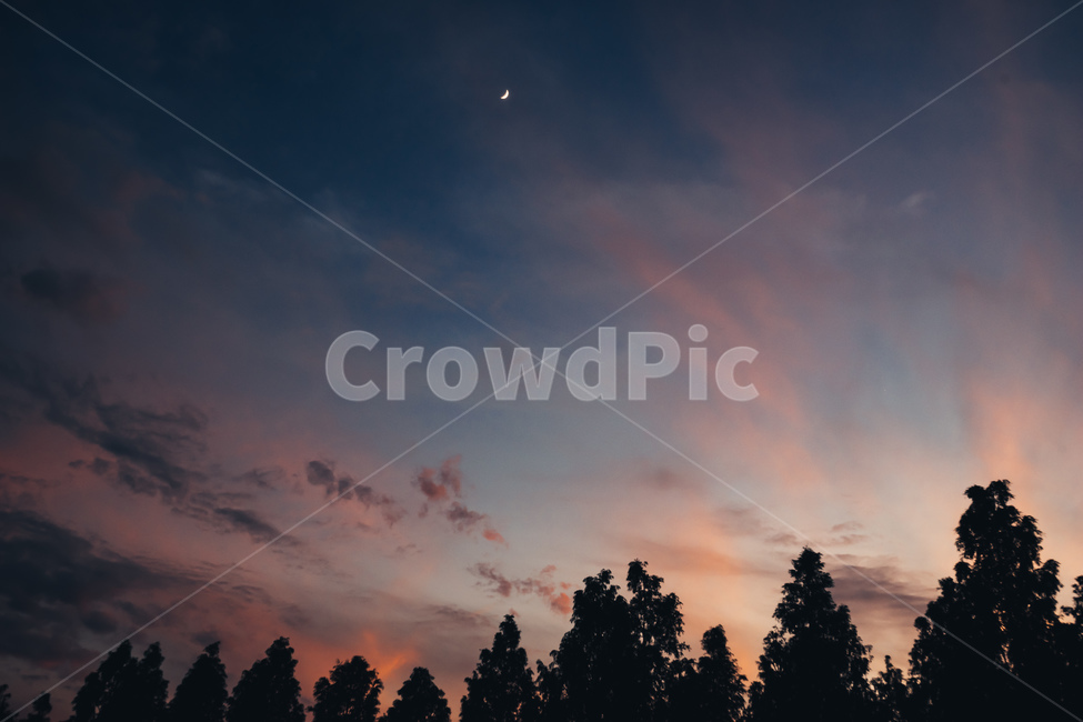 노을,하늘,나무,달,감성,구름,밤하늘,저녁,매직아워,여유,역광,sky,cloud,sunset,sundown,backlight,evening,wood,tree,beautiful,rest,moon,저녁하늘,자연,풍경,nature,landscape,야경,밤,nightscape,night,outdoors,옥외,plant,식물,fir,전나무
