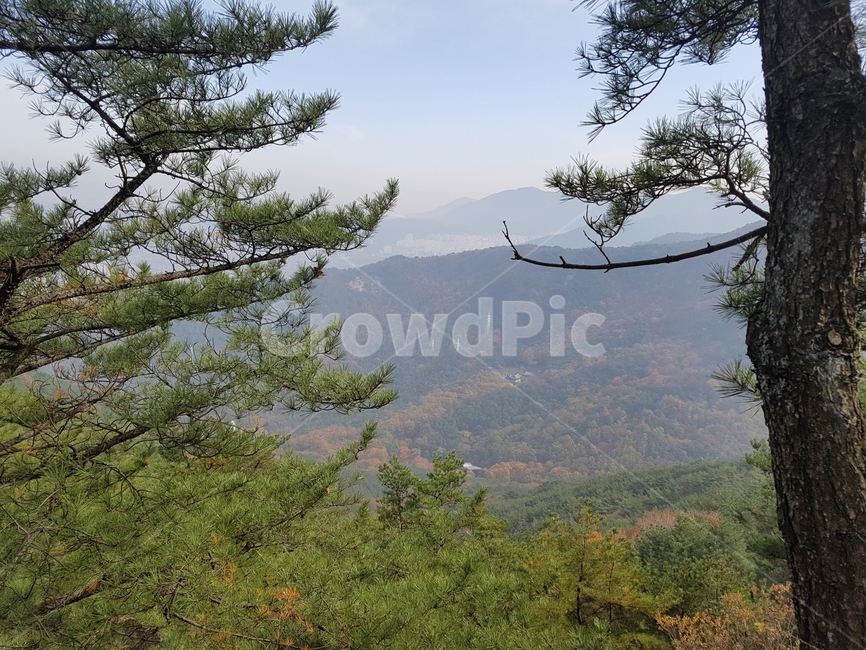 대구,등산,들판,대구일대,산책,자연,풍경,nature,landscape,tree,나무,plant,식물,outdoors,옥외