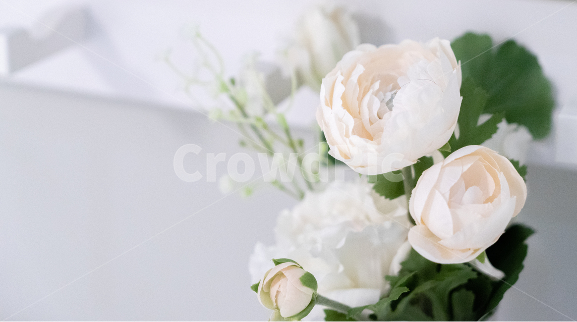 장미,조화,실내,인테리어,꽃송이,꽃다발,화분,밝은,꽃,flower,기념일,축하,anniversary,congratulation,celebrate,celebration,감성,sensible,feeling