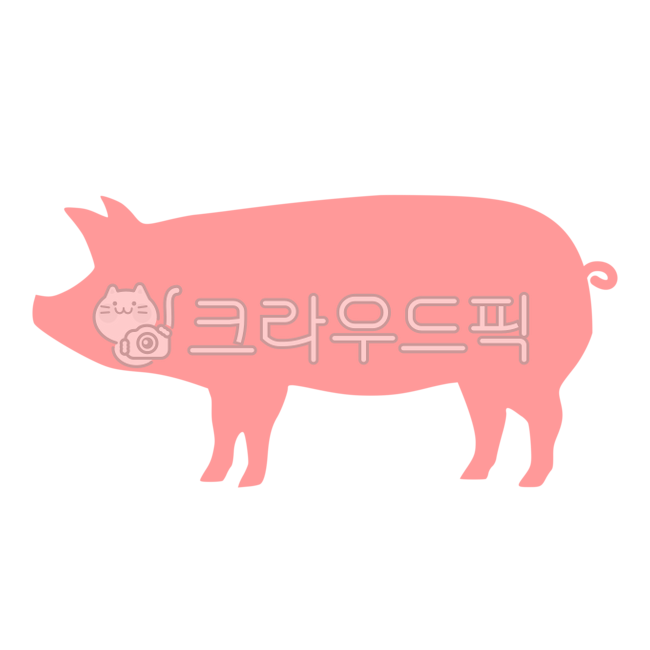 돼지,피그,삼겹살,오겹살,막창,곱창,pig,동물