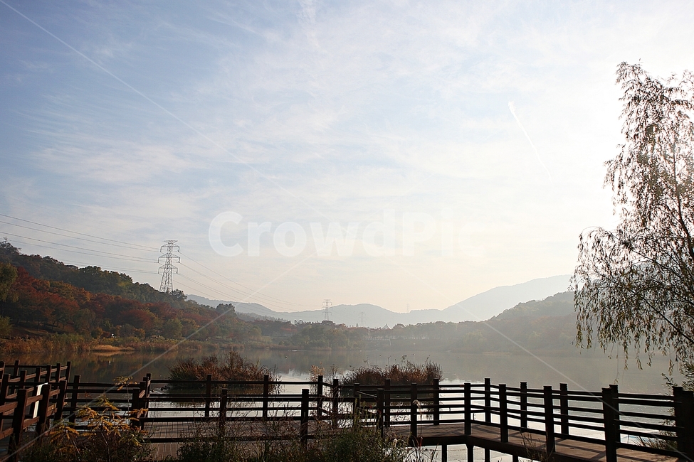 인천대공원,호수,아침,단풍,안개,울긋불긋,가을,식물,자연,풍경,공원,낙엽,하늘,가을,계절,fall,autumn,season,자연,풍경,nature,landscape,water,물,railing,난간