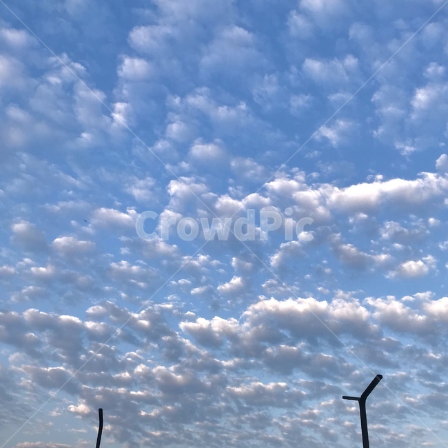 하늘,구름,sky,cloud,파란색,blue,자유,안정감,날다,자연,풍경,nature,landscape,outdoors,옥외,weather,날씨
